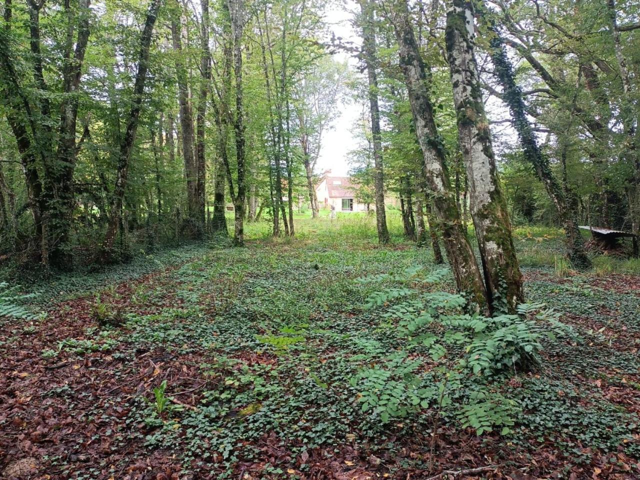 Suite Balneo En Bord De Foret Pouzy-Mesangy エクステリア 写真